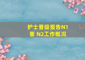 护士晋级报告N1晋 N2工作概况